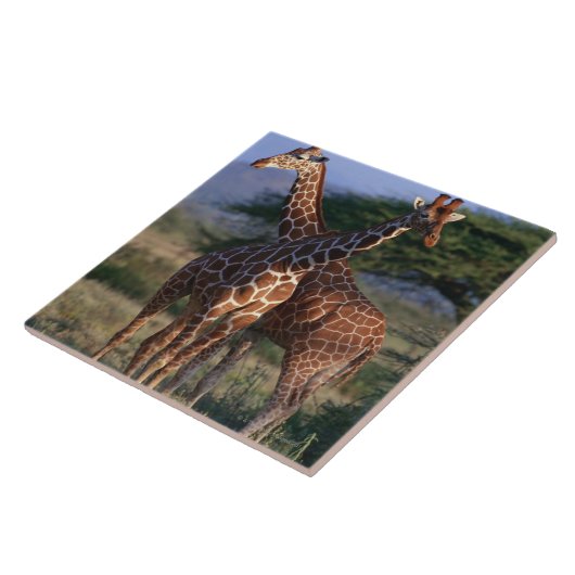 Geannuleerde Giraffe 2 Tegeltje (Zijkant)