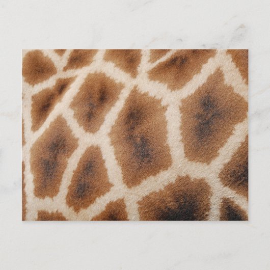 Geannuleerde Giraffe Pattern Wild Animal Print Gif Briefkaart (Voorkant)