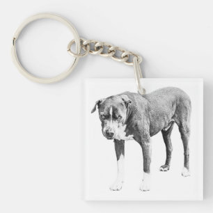 Gearceerde Pit Bull Mini Tag Sleutelhanger