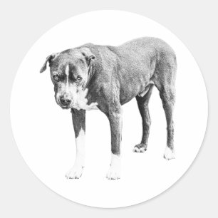 Gearceerde Pit Bull Sticker