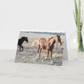 Gearlings Kaart (Voorkant)