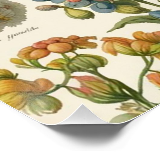  geassorteerde bloemen perfect poster (Hoek)