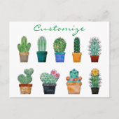 Geassorteerde Cactus Planten Thunder_Cove Briefkaart (Voorkant)