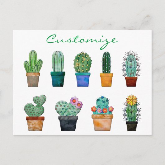 Geassorteerde Cactus Planten Thunder_Cove Briefkaart (Voorkant)