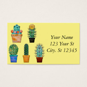 Geassorteerde Cactus Planten Thunder_Cove Visitekaartje
