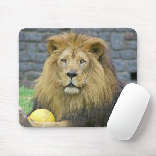 Geassorteerde dierlijke Muismatten (Met muis)