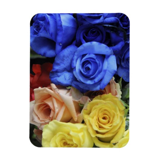 Geassorteerde verse rozenbouquets magneet (Verticaal)
