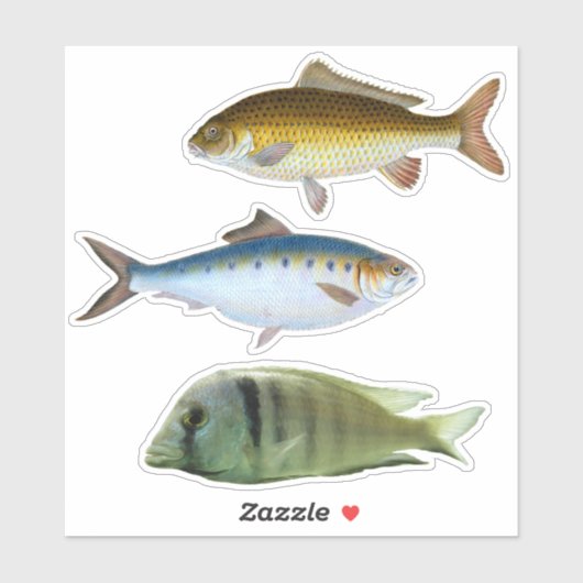Geassorteerde vis Sticker (Vel)