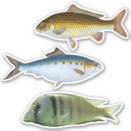 Geassorteerde vis Sticker (Voorkant)