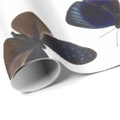 Geassorteerde vlinders cadeaupapier (Rol Hoek)