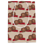 Geatballen Marinara Italiaans restaurant Kooking Medium Cadeauzakje (Voorkant)