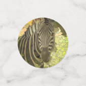 Geautomatiseerd - Zebra Confetti (Kleine voorkant)