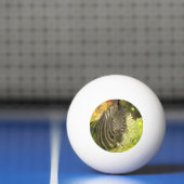 Geautomatiseerd - Zebra Pingpongbal (Net)