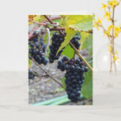 Geavanceerd Kaart (Gele Bloem)