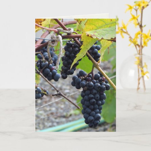 Geavanceerd Kaart (Gele Bloem)