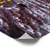 Geavanceerd Poster (Hoek)