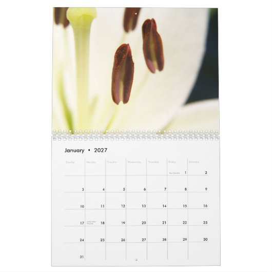 Geavanceerd seizoen 2012 kalender (Jan 2027)