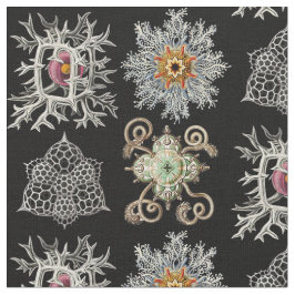 Geavanceerde vormen van de natuur stof