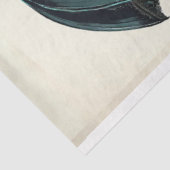 Geavanceerde zwarte kat met blauwgroen paraplu tissuepapier (Detail)