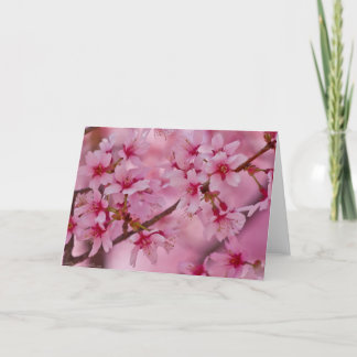 Gebaad in de Roze Japanse Bloesems van de Kers Kaart