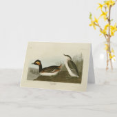 Gebaarde fuut (Zwarte nekfuut) - Audubon Kaart (Gele Bloem)