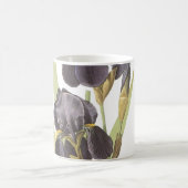 Gebaarde iris (Iris germanica) van Redouté Koffiemok (Center)