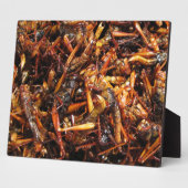 Gebakken sprinkhaan (Takkataen Thot) Aziatisch ete Fotoplaat (Zijkant)