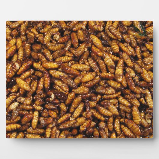 Gebakken Zijderupsen ... Thais Straatvoedsel Fotoplaat (Voorkant)