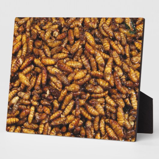 Gebakken Zijderupsen ... Thais Straatvoedsel Fotoplaat (Zijkant)