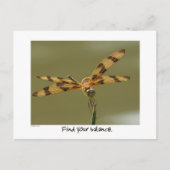 gebalanceerd libel Briefkaart (Voorkant)