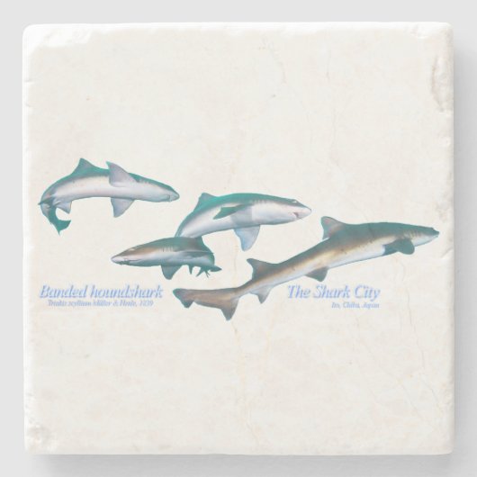 Gebandde hondhaaien stenen onderzetter (Voorkant)