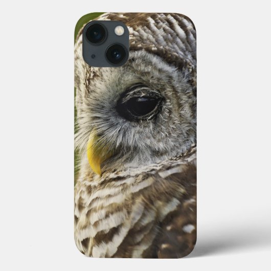 Gebandeerde bosuil, Strix varia, Michigan Case-Mate iPhone Case (Achterkant)