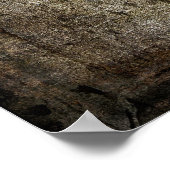 GEBARBEERDE STAR VAN TEXAS POSTER (Hoek)