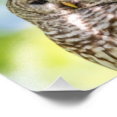 Gebarende Oe van de Hudsonvallei – Natuur & Wilde Foto Afdruk (Hoek)