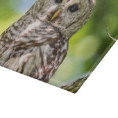 Gebarende Oe van de Hudsonvallei – Natuur & Wilde  Snijplank (Hoek)