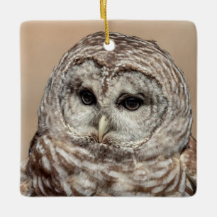 Gebarende Uil van de Hudsonvallei – Natuur & Wilde Keramisch Ornament