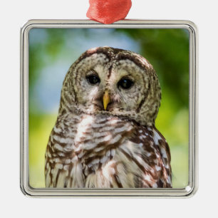 Gebarende Uil van de Hudsonvallei – Natuur & Wilde Metalen Ornament