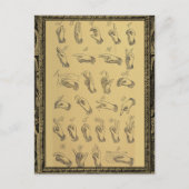 gebarentaal alfabet handgebaren briefkaart (Voorkant)