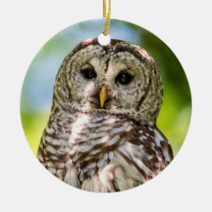 Gebarricadeerde Uil van de Hudsonvallei – Natuur & Keramisch Ornament