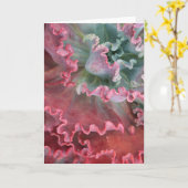 Gebarsten echeveria-kaart kaart (Gele Bloem)