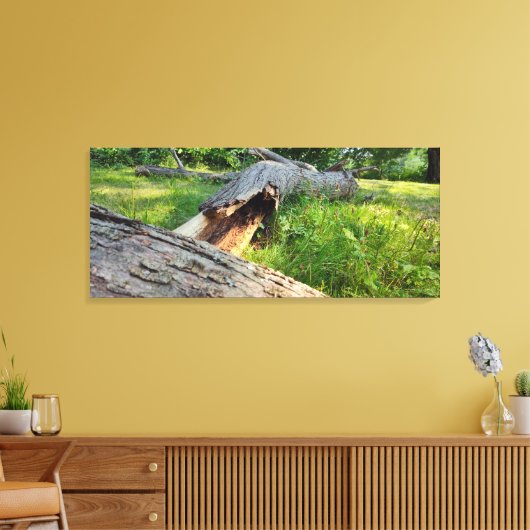 Gebarsten en in puinhopen canvas afdruk (Insitu (Woonkamer))