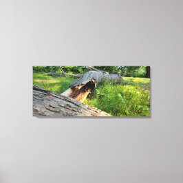 Gebarsten en in puinhopen canvas afdruk