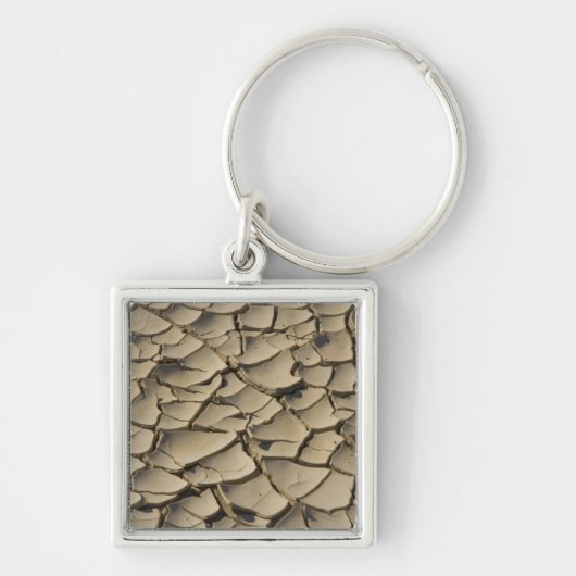 Gebarsten modderformatie op de valleid bodem van sleutelhanger (Voorkant)