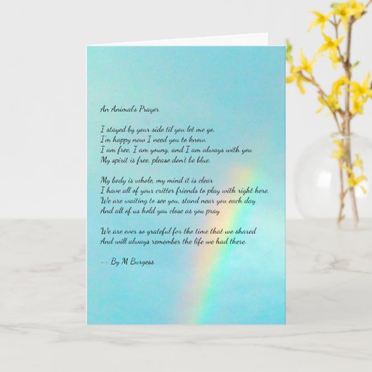 Gebed van een dier - Regenboog - Kaart (Gele Bloem)
