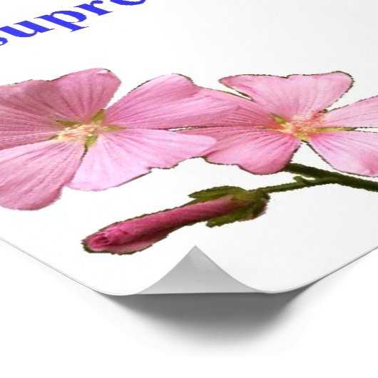 gebed voor volledige sereniteit poster (Hoek)