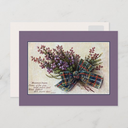 gebergte Heath Scottish clan ribbon, gedicht Briefkaart (Voorkant / Achterkant)