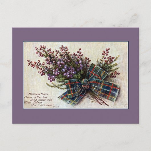  gebergte Heath Scottish clan ribbon, gedicht Briefkaart (Voorkant)