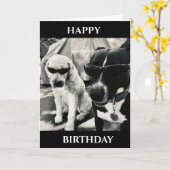 **"GEBEUREN OP DE TWEEDE DAG** UNCLE KAART VAN KOO (Gele Bloem)