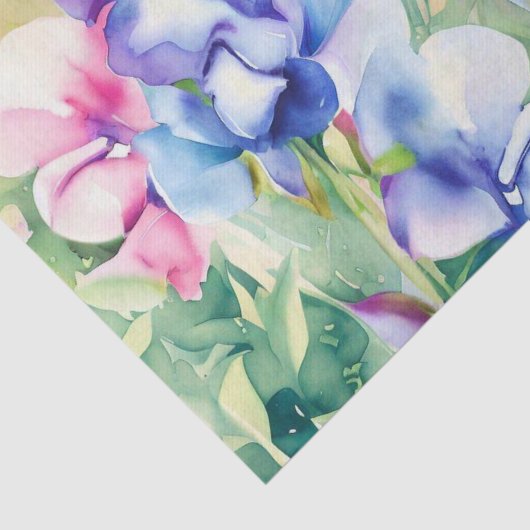 Gebied Bloemen-zoete Erwt (B) Waterverf Tissuepapier (Detail)