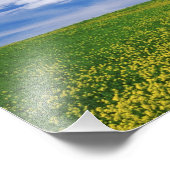 Gebied Canola of Mustard bloemen, Palouse Foto Afdruk (Hoek)
